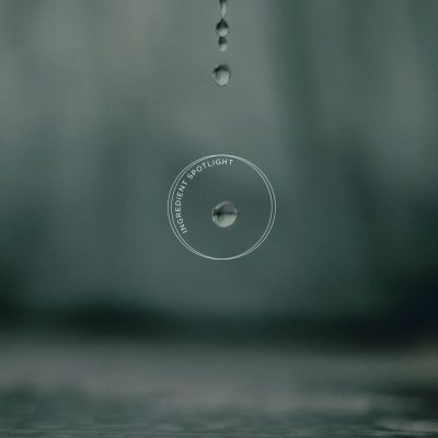 Ingredient spotlight - Hyaluronic acid-PdtBlog